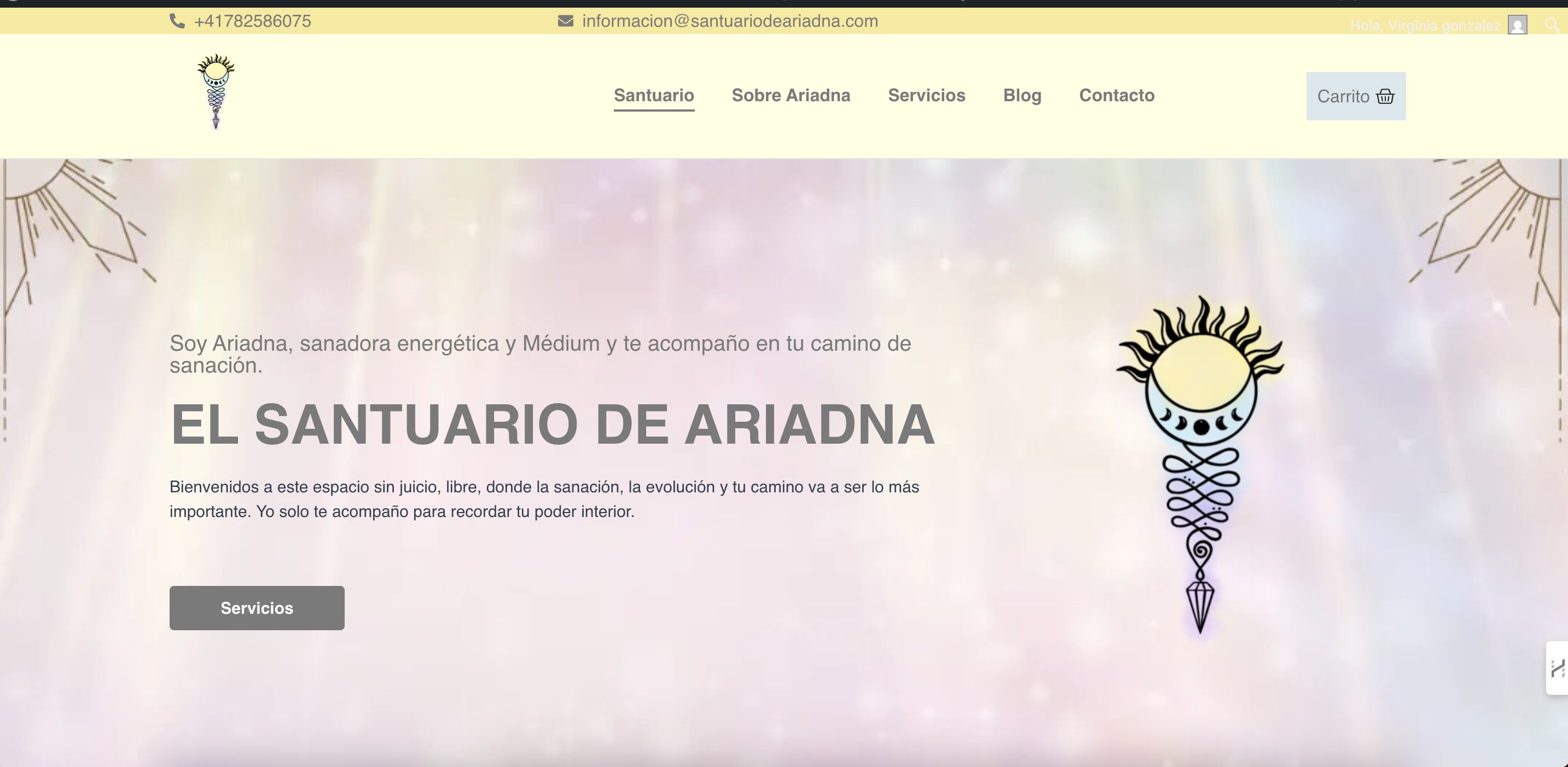 Desarrollo de  E-comerce de Servicios